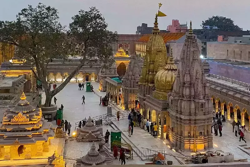 kashi