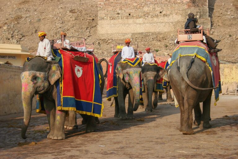 Read more about the article 4 Day Golden Triangle Tour: Why is the India’s Most Iconic Journey ?