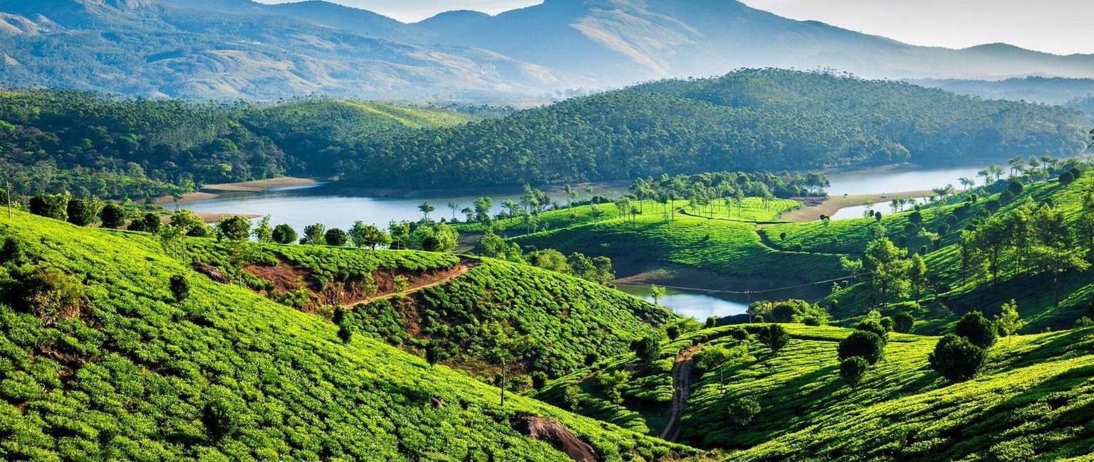 Discover the best of Kerala with our 4 Days Exclusive Cochin with Periyar Wildlife Tour. Begin your journey in the historic city of Cochin, exploring colonial landmarks, Chinese fishing nets, and vibrant spice markets. Then, head to Thekkady to experience the rich biodiversity of Periyar Wildlife Sanctuary. Enjoy a scenic boat ride on Periyar Lake, spot elephants and exotic birds, and visit aromatic spice plantations. Perfect for nature lovers and cultural explorers, this tour combines heritage, wildlife, and scenic beauty. Travel in comfort with curated stays and personalized service throughout your Kerala adventure
