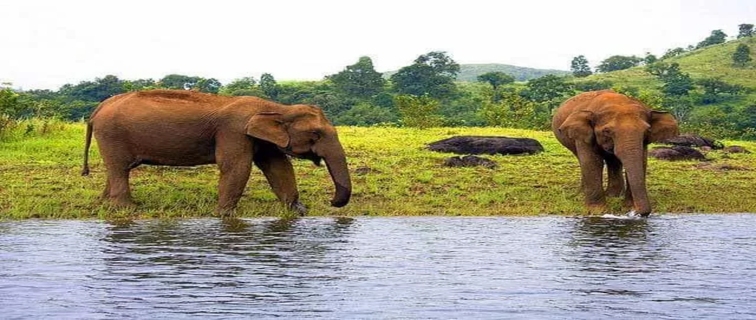1687940889_periyar.jpg