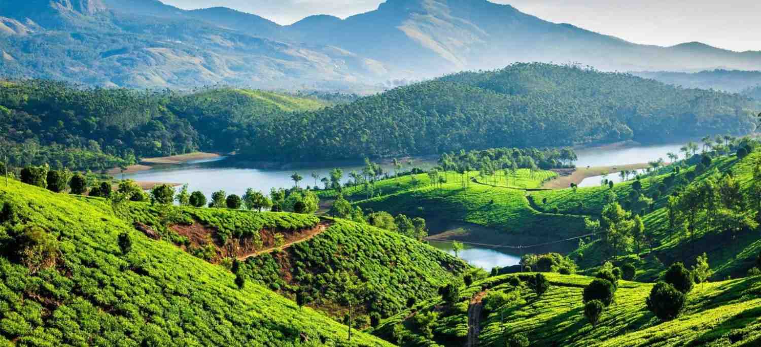 5 Days Cochin Munnar Alleppey Tour
