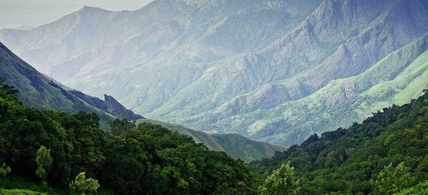 Wayanad Munnar Alleppey 7 Day Tour - Gets Holiday India Tour