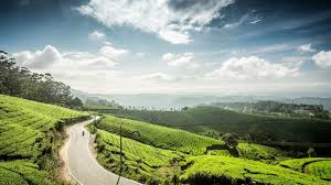 Wayanad Munnar Alleppey 7 Day Tour