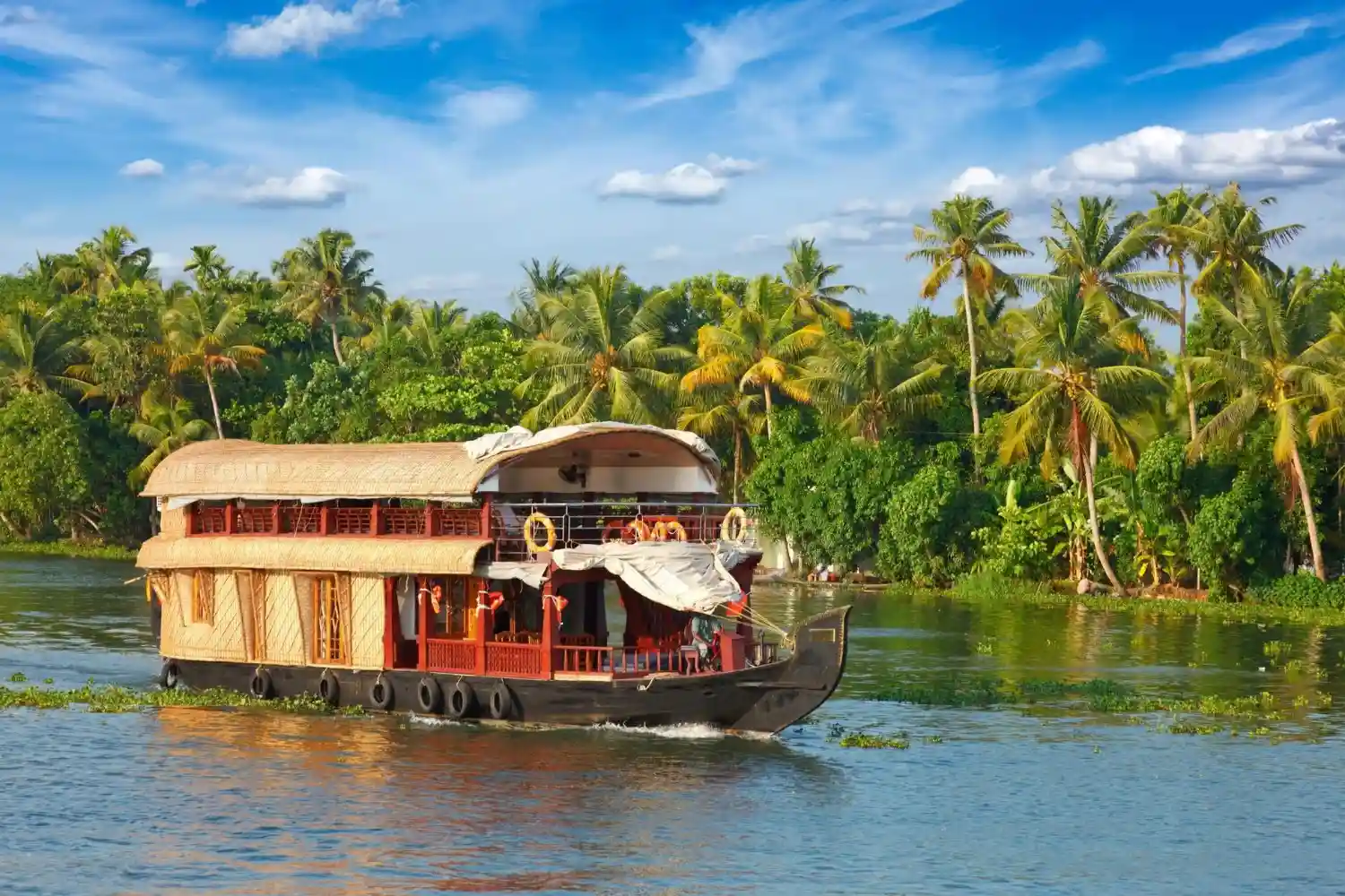 Read more about the article 5 Days Kerala Tour: Top Things to See & Do in God’s Own Country